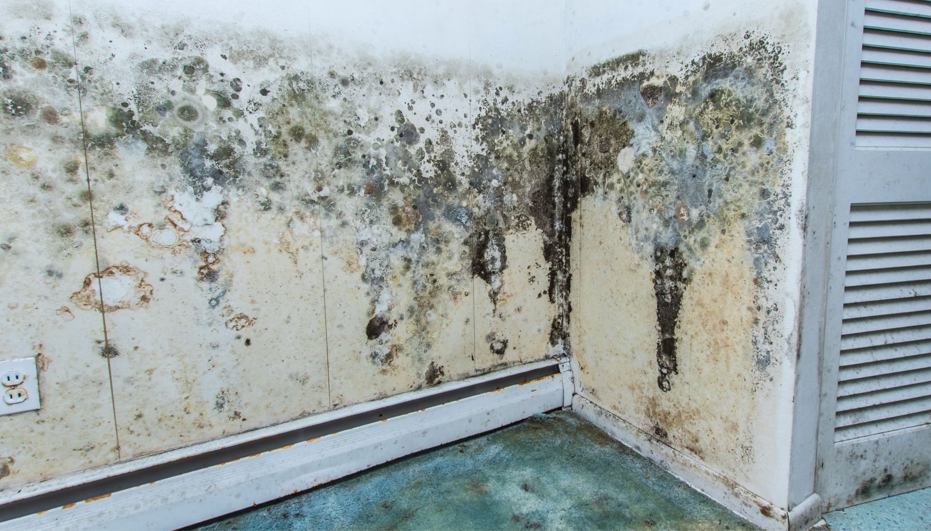 Professional mold removal, odor control, and water damage restoration service in Plano, Texas.