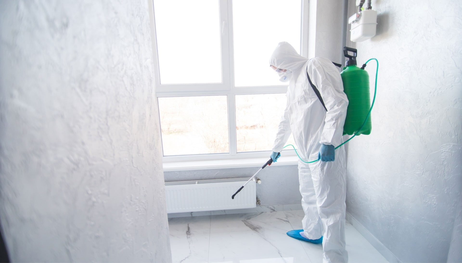We provide the highest-quality mold inspection, testing, and removal services in the Plano, Texas area.